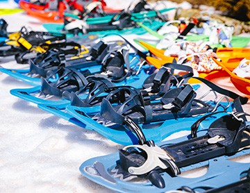 Snowshoeing at Stelvio National Park